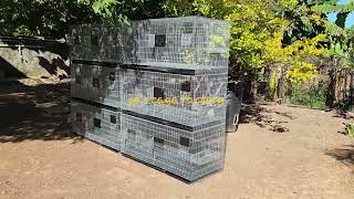 lorikeet amp hooded parrot cage made JPsCageFactory [upl. by Kenneth]