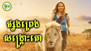 ដំណើរផ្សងព្រេងសង្គ្រោះតោ [upl. by Helbonna]