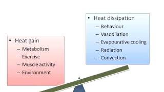 Summer Emergencies  heat stroke and seasonal toxicities [upl. by Leahcar]