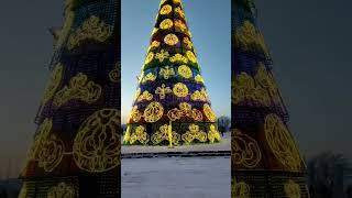 Super Large Christmas Tree [upl. by Liris]