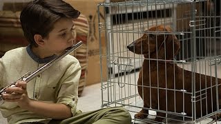 WienerDog Trailer 2016  Greta Gerwig Welcomes You to the Doghouse [upl. by Agathy]