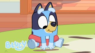 Tiempo en familia Heeler  Episodios completos  Bluey 💙 Español Canal Oficial 🇪🇸 [upl. by Enitsed660]