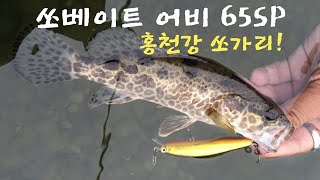 홍천강 쏘가리 엔에스 쏘베이트 65SP 운용TIP [upl. by Ellatsyrc]