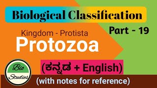 in Kannada Class 11 Biological Classification Part 19 Protozoa [upl. by Nyrrek760]