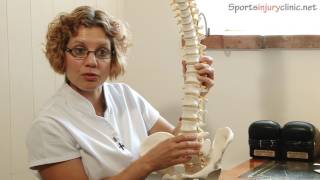 Sacroiliac Joint Pain Si Joint  A Chiropractors View [upl. by Egroj]