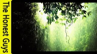 Relaxation Music  1 Hour Gentle Rain Meditation [upl. by Airpal]