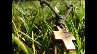 The Afters  Life Is Beautiful Lyrics [upl. by Juta]