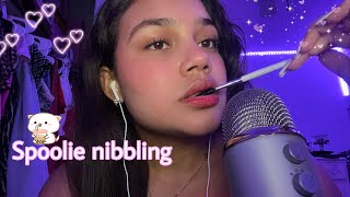 ASMR Spoolie nibbling amp mouth sounds [upl. by Zadoc]