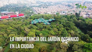 LA IMPORTANCIA DEL JARDÍN BOTÁNICO EN LA CIUDAD  Epicentro  TvAgro por Juan Gonzalo Angel Restrepo [upl. by Idnerb313]