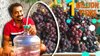 Homemade Red Wine  How to Make Red Wine  Making Red Wine At home by Selvakumar [upl. by Siloa]