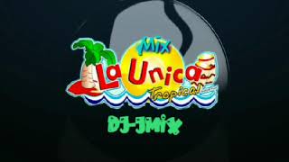 Mix inicio  PARTIDO EN DOS LA ÚNICA TROPICAL🌴 DJJMIX🐰 Dale like 👍 y comparte🌴 [upl. by Ellerol902]