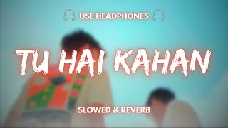 AUR  TU HAI KAHAN  Relaxing Version   Slowed amp Reverb  8D Audio  chaal chal tu apni [upl. by Adnalahs]