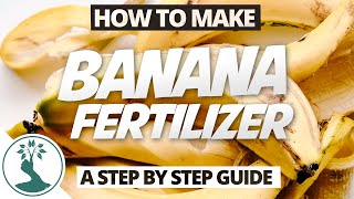 How to Use Eggshells Banana Peels and Coffee Grounds in the Garden [upl. by Sausa728]