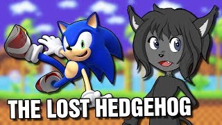 RESET SYSTEM 9  The Lost Hedgehog [upl. by Danni884]