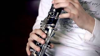 Pirates Of Caribean Theme On Clarinet [upl. by Inail360]