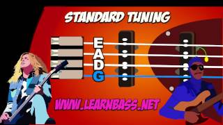 Bass Guitar Tuner  Standard EADG nice amp loud [upl. by Anaele]