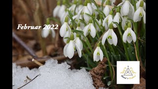 MonatsOrakel WIDDER Februar 2022 [upl. by Maryann]