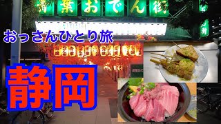 【ひとり旅】静岡1泊2日【Vlog】 [upl. by Vasileior607]