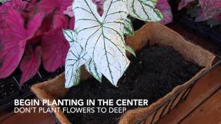 Planting Shade Loving Baskets TheGardenGatescom [upl. by Ahsenhoj]