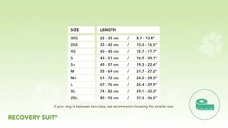 Suitical  Recovery Suit® Dog  How to measure your dog [upl. by John]