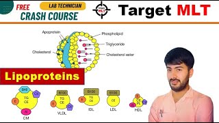 48 Lipoproteins HDL LDL VLDL chylomicron biochemistry AIIMS PGIMER DSSSB RML 2024 [upl. by Horatius155]