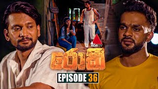 Rocky රොකී  Episode 36  30th September 2024  Sirasa TV [upl. by Drandell]