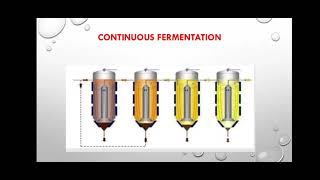 Glutamic acid  Industrial production of Glutamic acidglutamicacid bioprocess aminoacid [upl. by Vaios]