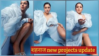 shehnaaz gill new projects upadate [upl. by Marzi]