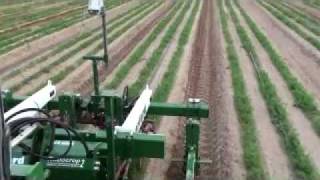 Precise placing of Drip line in Carrot [upl. by Braynard563]