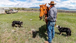 Inside a Real Montana Ranch  Whats it REALLY Like [upl. by Anastase769]