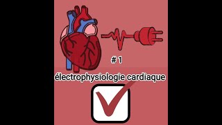 1électrophysiologie cardiaque physiologie cardiorepiratoire 2éme MED [upl. by Macnamara]