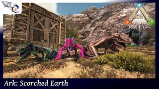 Hatching Wyvern Eggs  ARK Scorched Earth 45 [upl. by Elleynad]