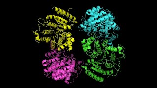 How to make publication quality images using PyMol [upl. by Lyle]