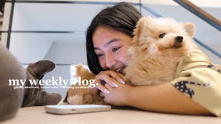 VLOG • Getting Emotional Meeting Friends amp Cooking Dinner 😋 [upl. by Odo]