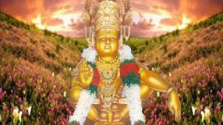 Ayya Darshanam Swamy Ayya Darshanam  Ayyappa telugu song [upl. by Natty]