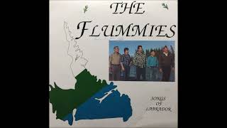 The Flummies  45 Miles From Goose Bay 1988 [upl. by Anohs]