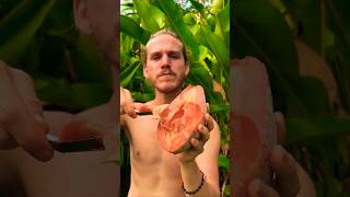 Tasty mamey sapote fruit 😍😍 fruit shortsfeed shorts eating youtubeshorts sapote tasty react [upl. by Finbar]