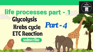 Life Processes in living organisms part 1  SCC  CBSC  SDCHEMANIMATION9TH10TH [upl. by Araminta]