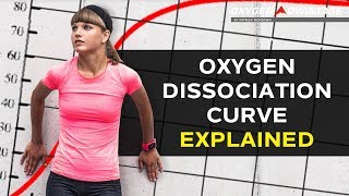 Oxygen Dissociation Curve Explained  Bohr Effect [upl. by Brocklin]