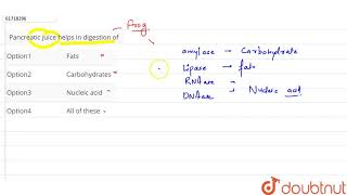 Pancreatic juice helps in digestion of [upl. by Thinia]