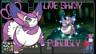 Live Shiny Purugly on 69 Dex Nav Chain  Omega Ruby [upl. by Ettenaj]