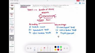 ascending and descending tract of spinal cord neurology 60  First Aid USMLE Step 1 in UrduHindi [upl. by Kali]