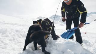 Le métier de pisteur à Serre Chevalier [upl. by Harol]