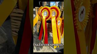 De Trakehner Sportdag horse horsemanship paarden trakehner paardrijden calmdown dressage fy [upl. by Mastic]