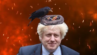 Boris Johnson Prime Minister of the United Kingdom Transvestigation [upl. by Blodgett]