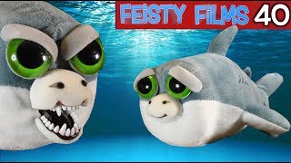 Feisty Films Ep 40 The Baby Shark Song [upl. by Coyle42]