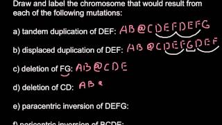 Types of chromosomal mutations [upl. by Hpseoj]