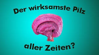 Das Heilmittel Ganoderma lucidum Reishi Pilz unter der Lupe [upl. by Irep]