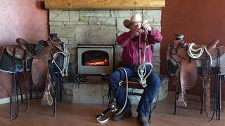 Using a Bosal Hackamore vs a Snaffle on Young Horses By Bill Oliver [upl. by Astor]