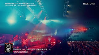 Live Bluray「WANDS Live Tour 2023〜SHOUT OUT！〜」 【TEASER】 [upl. by Neroled295]